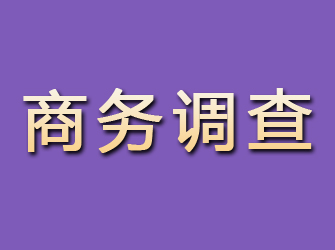 黔西商务调查